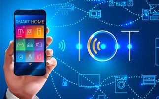 穿戴式檢測設(shè)備技術(shù)與物聯(lián)網(wǎng)生態(tài)系統(tǒng)的融合 網(wǎng)絡(luò)設(shè)備技術(shù)服務(wù)的核心驅(qū)動